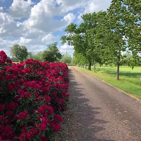 Lägenhet Landgoed De Blaauwe Blaer