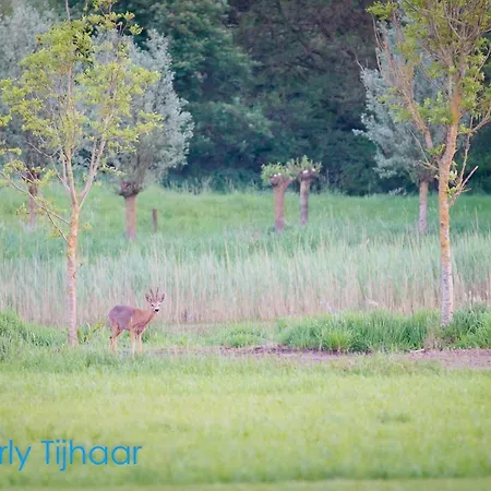 Landgoed De Blaauwe Blaer Lägenhet *