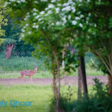 Landgoed De Blaauwe Blaer *