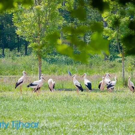 Landgoed De Blaauwe Blaer * Hall
