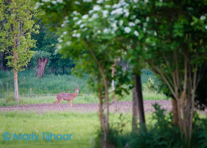 Landgoed De Blaauwe Blaer *