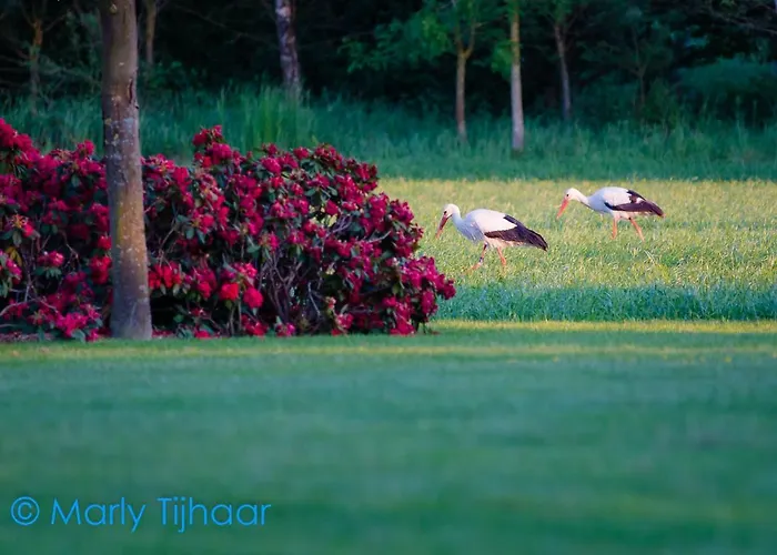 Landgoed De Blaauwe Blaer アパート *