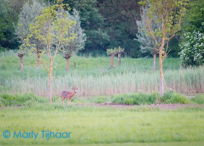 Landgoed De Blaauwe Blaer アパート *